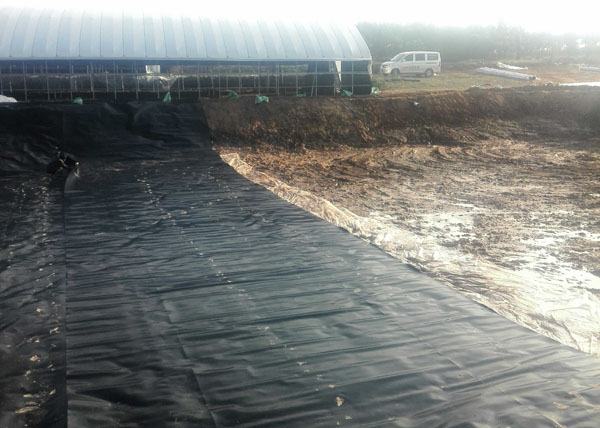 �B(y��ng)ֳ��(ch��ng)���BĤ